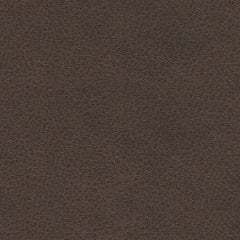 Roxmere  Sofa Sleeper