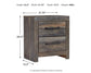 Drystan  Panel Bed With 2 Storage Drawers With Mirrored Dresser, Chest And Nightstand