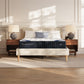 Ashley Express - Dreamcloud Classic Memory Foam  Mattress